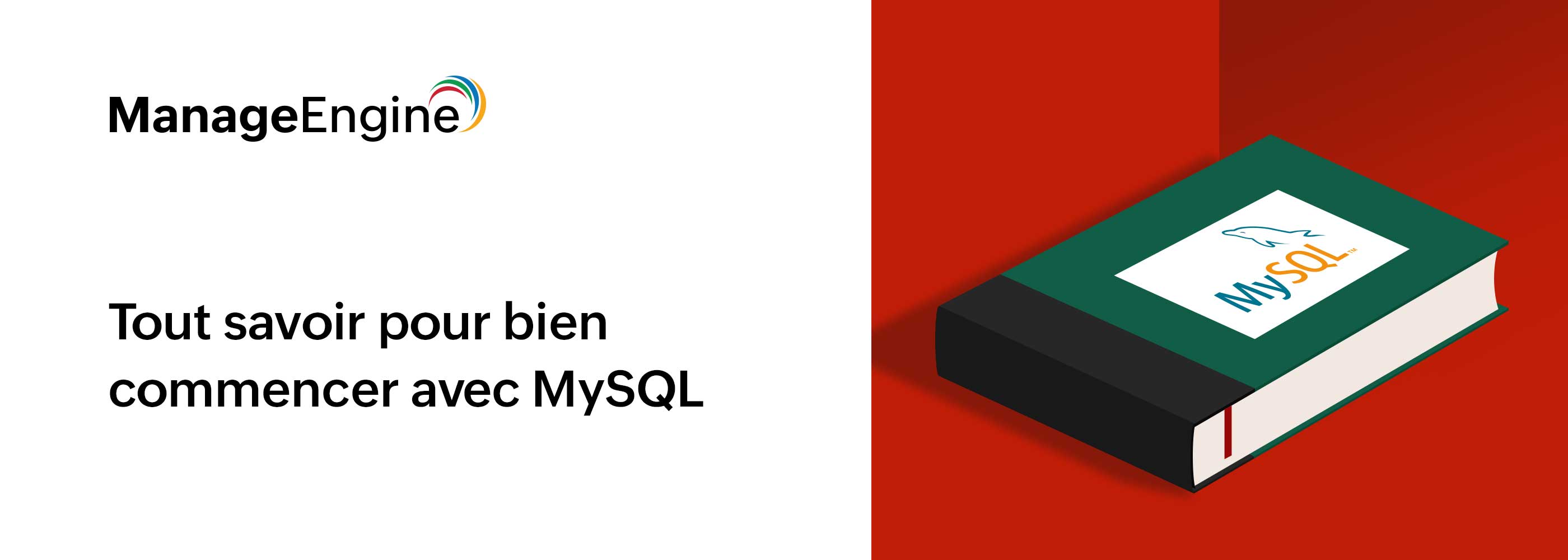 Bases de données MySQL : comprendre les fondamentaux pour bien démarrer