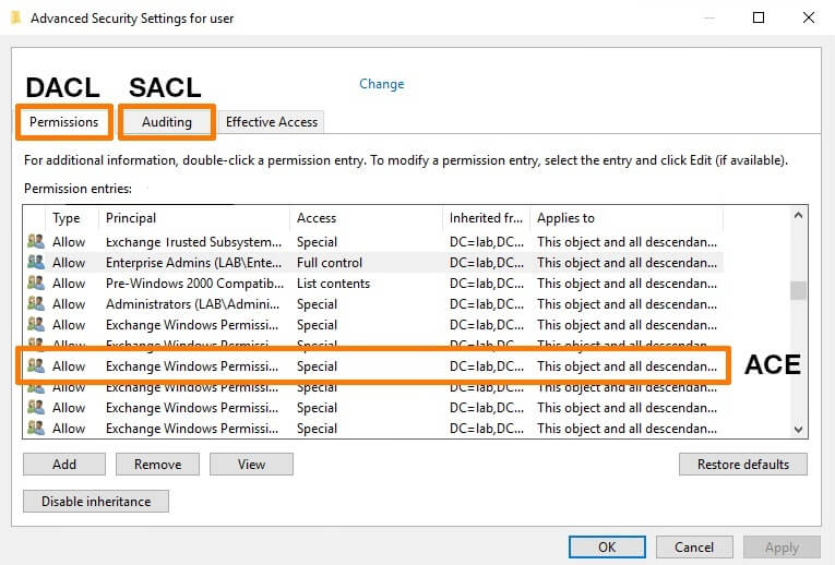 A comprehensive image showing the difference between an ACL and ACE.