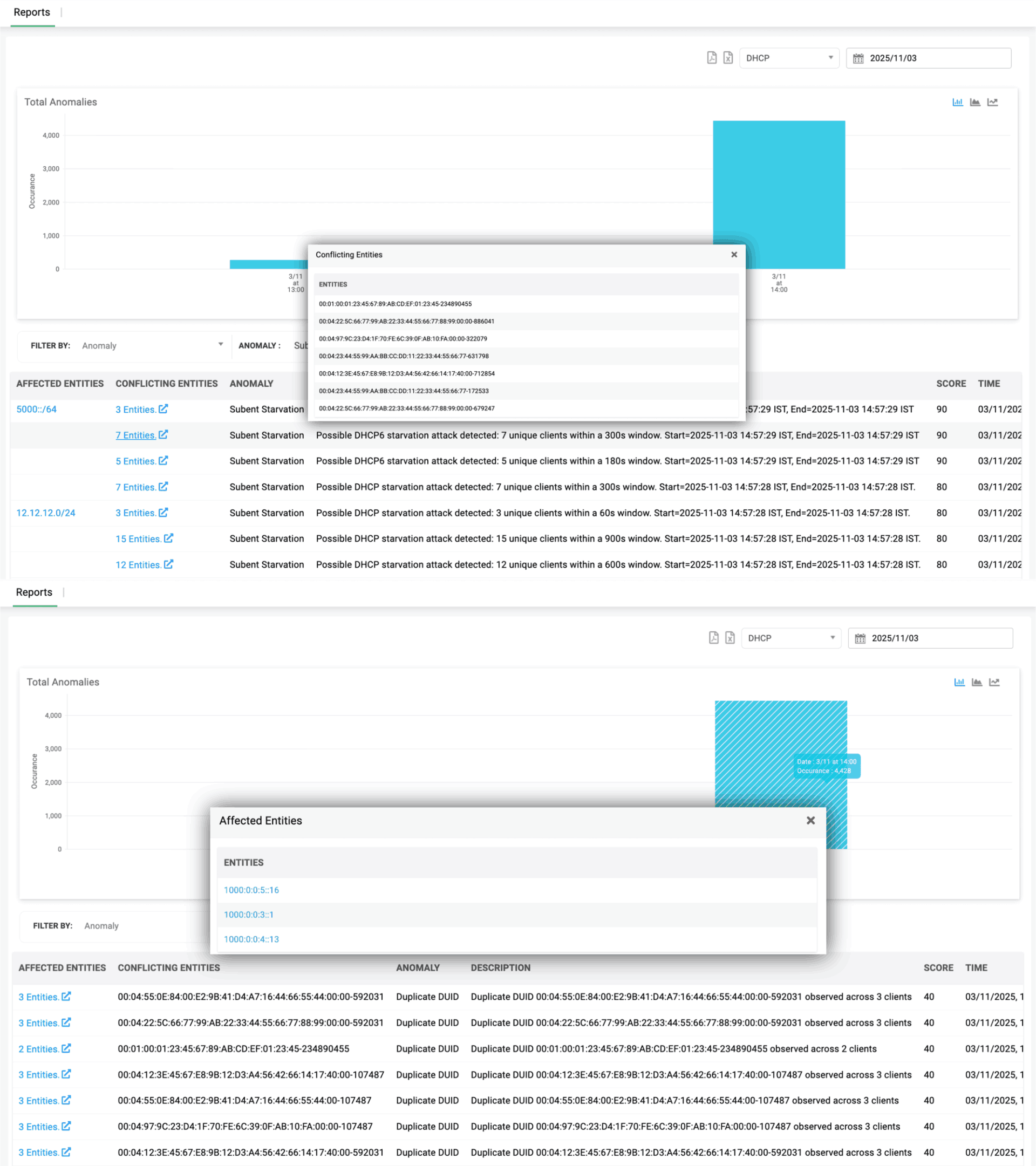 DHCP anomaly detection reports and logging