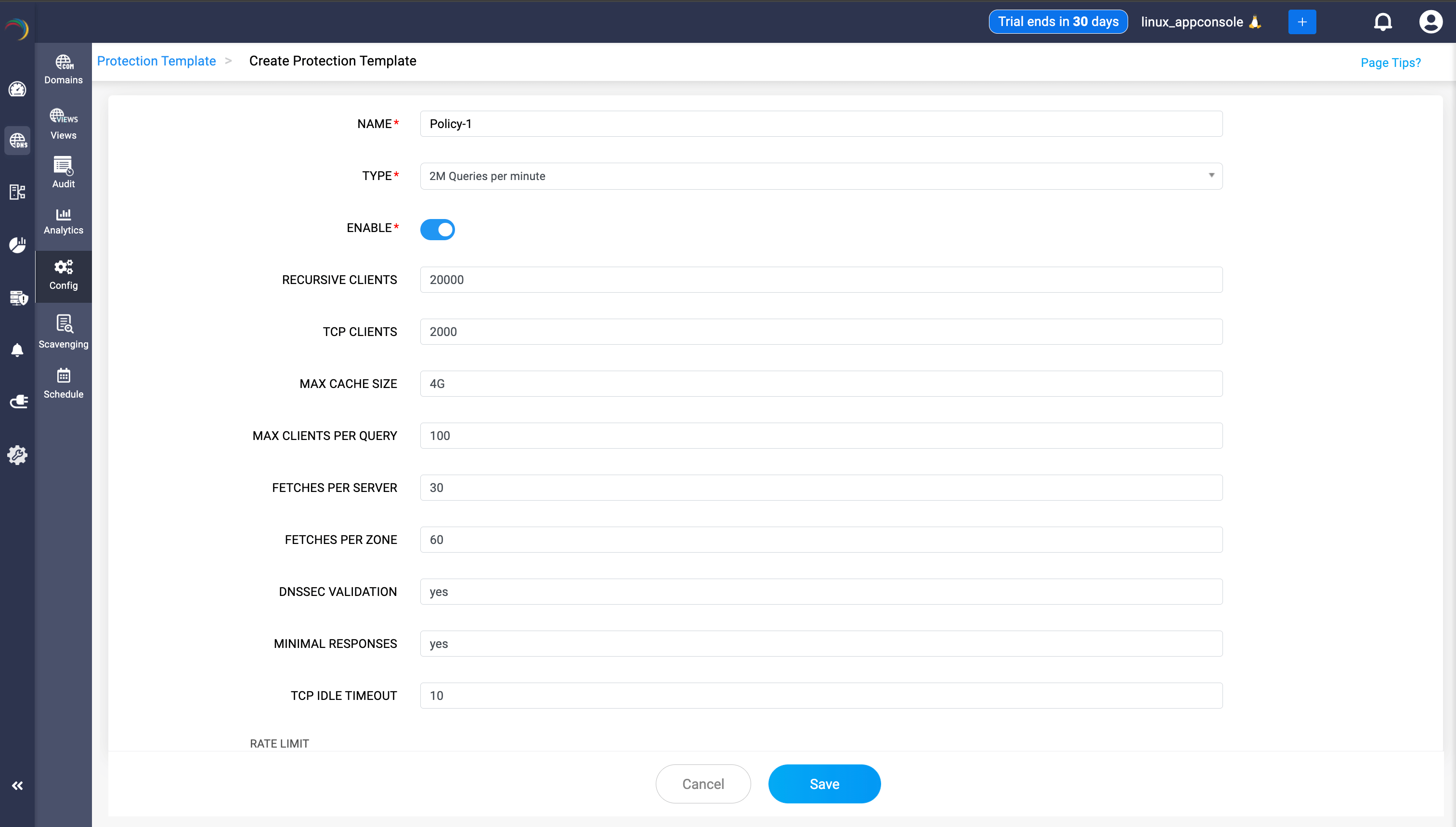 DNS protection template